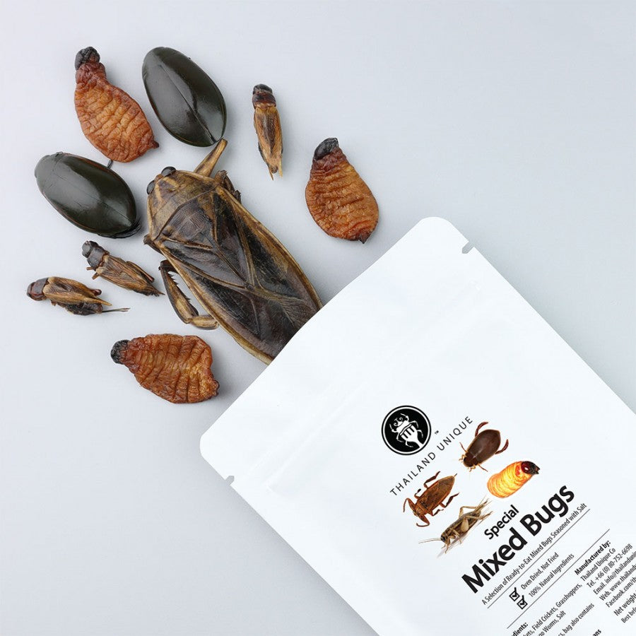 Box Insetti misti x7