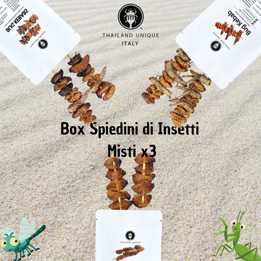 Box Spiedini di Insetti Misti x3