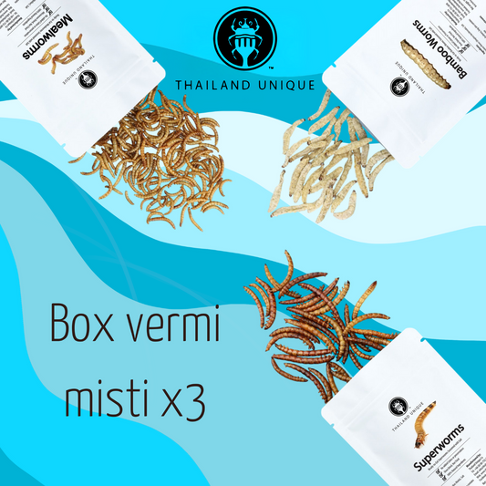 Box vermi misti x3