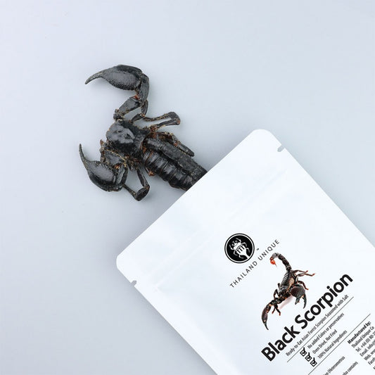 Scorpione asiatico nero edibile della foresta